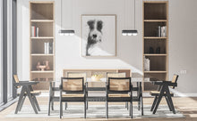 Load image into Gallery viewer, Diego