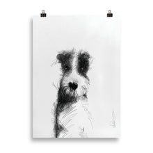 Load image into Gallery viewer, Diego