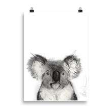 Load image into Gallery viewer, Koala