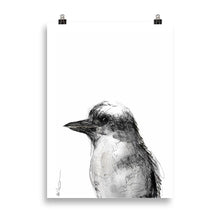 Load image into Gallery viewer, Kookaburra