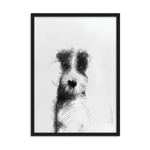 Load image into Gallery viewer, Diego