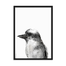Load image into Gallery viewer, Kookaburra