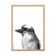 Load image into Gallery viewer, Kookaburra