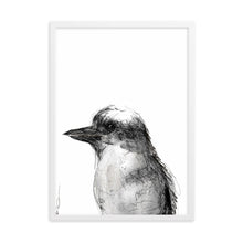 Load image into Gallery viewer, Kookaburra