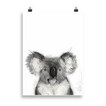 Load image into Gallery viewer, Koala
