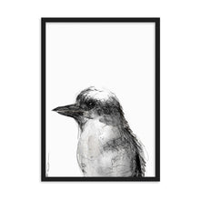 Load image into Gallery viewer, Kookaburra
